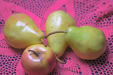 Ripe pears and apples on a pink lace tablecloth.の写真素材