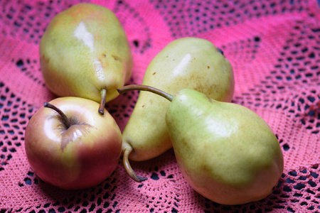 Ripe pears and apples on a pink lace tablecloth.の写真素材