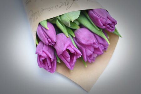 Bouquet of purple tulips on a white background with space for textの写真素材