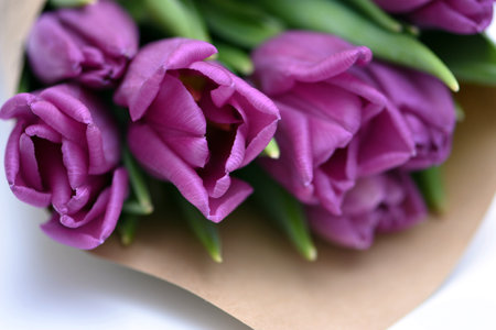 Bouquet of purple tulips on a white background close-upの写真素材