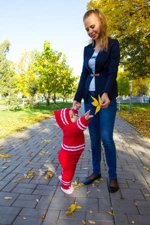 Portrait of mother and child. Mom holds baby yellow leafの写真素材