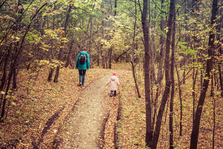 Mother and daughter are walking in the autumn forestの写真素材