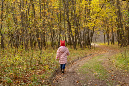 Little baby walking in the autumn forestの写真素材