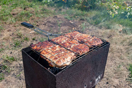 meat steaks cooked on the grill in the garden. grilled meat steaks.の写真素材