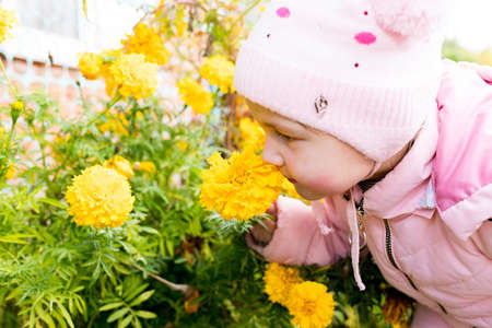 child sniffs yellow flowers. scent of flowersの写真素材