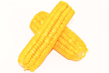 two cob corn on a white background