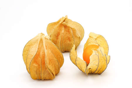 dried physalis flowers and berry on a white backgroundの写真素材