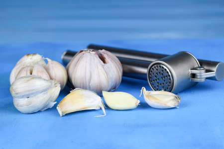 garlic and press on a blue backgroundの写真素材