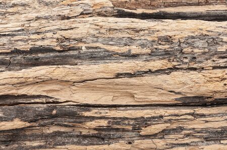 Wood texture. Wood surface. Texture of the old wood close-up.の写真素材