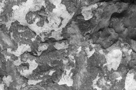 Texture of dark gray and black slate or background for design.
Wall of a rock surface with an abstract pattern.の写真素材