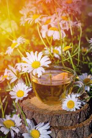 A cup of fragrant chamomile tea, in the rays of the evening beautiful sunset.の写真素材