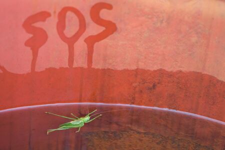 SOS distress signal! Salvation of a drowning man, the work of the drowning man himself.の写真素材