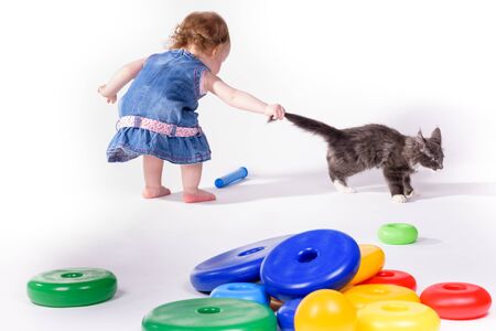 A small child plays with teaching colored toys and holds a gray kitten by the tail.の写真素材