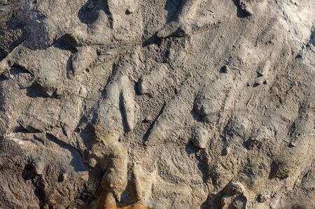 Colorful natural stone background texture.の写真素材
