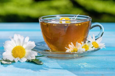 A cup of tea with chamomile, close-up, lit by sunlight, on a light blue wooden table.の写真素材