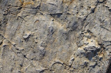 Texture of dark gray and black slate or background for design.
Wall of a rock surface with an abstract pattern.の写真素材