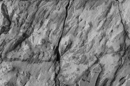 Black stone texture. Marble natural pattern or abstract background.
の写真素材