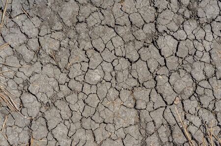 Dry land cracked earth. Texture, background, pattern. Arid land. Abstract pattern on dust backdrop. Desert landscape background global warming concept. Dry soil texture background.の写真素材