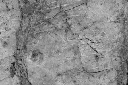 Gray stone texture background or abstract background.の写真素材