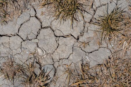 Desert landscape background global warming concept. Dry landscape. Dry grass background. Dry earth texture. Ecology landscape.の写真素材