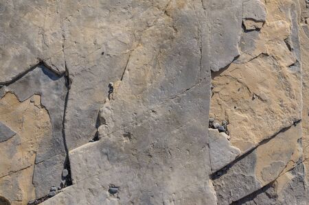 Texture of a dark gray stone or background for design.
The surface of the rock is a surface with a wave pattern.の写真素材