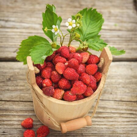 Fresh, juicy red strawberries in a wooden small bucket, stands on a wooden natural table.の写真素材