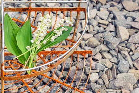 Geometry and flowers. Geometric shapes in textures. Lilies of the valley and rusty texture. Iron texture in colors. Rusty texture on the background of lilies of the valley. の写真素材