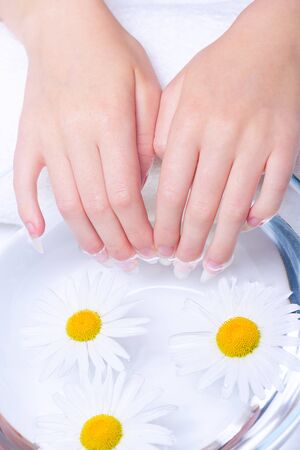 Close-up hands of young woman with natural nails, lowered into plate with healing infusion of chamomile. Procedure for treating nails in spa salon.  Concept of healthy hands and nails. Spa treatments for nails close-up. の写真素材
