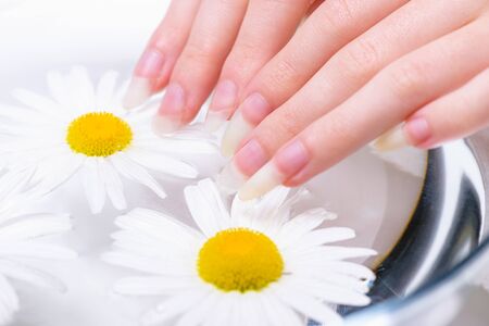 Close-up hands of young woman with natural nails, lowered into plate with healing infusion of chamomile. Concept of healthy hands and nails. Spa treatments for nails close-up. Procedure for treating nails in spa salon. の写真素材