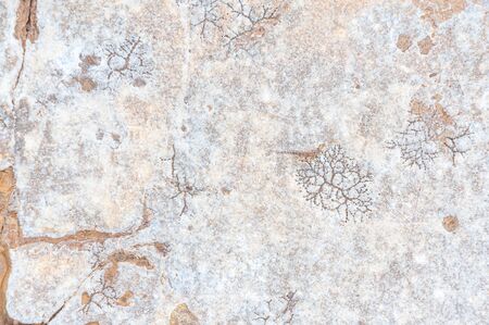 Natural stone close-up. Texture pattern. Stone texture. Stone old wall. Granite natural surface. Structural surface close-up.の写真素材