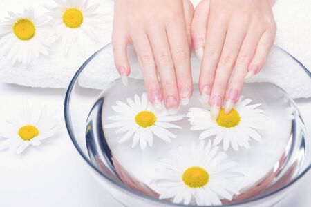 Concept of healthy hands and nails. Spa treatments for nails close-up. Procedure for treating nails in spa salon. Close-up hands of young woman with natural nails, lowered into plate with healing infusion of chamomile.の写真素材