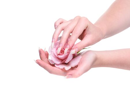 Natural manicure on hands white background. Hands girl with natural manicure. Girl's natural nails in pink rose petals.Rose flower in the hands girl.の写真素材