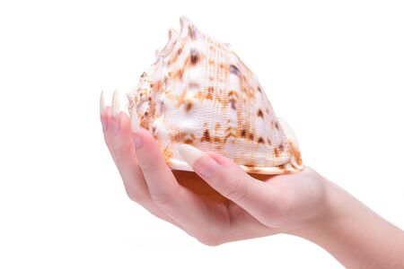 Ð¡oncept of strong and healthy nails. Female hand holds shell. Beautiful fingernails closeup. Healthy and beautiful nails.  Calcium for the health of nails. Beautiful fingernails closeup.の写真素材