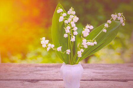 Spring flower lily of the valley. Lily of the valley. Flower Spring Sun White Green Background Horizontal. Ecological background Blooming lily of the valley on green grass background in the sunlight.の写真素材