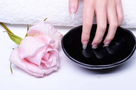 Spa treatments for hand nails close-up. Cosmetic procedures for nails in spa salon. Fingers are dipped in pink water bath. Rose lies table, next to window of water into which woman's hand is lowered.の写真素材