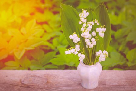 Sun rays fall on beautiful spring blooming flower. Flower Spring Sun White Green Background Horizontal. Ecological background Blooming lily of the valley on green grass background in the sunlight.の写真素材