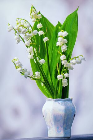 Lily of the valley. Flower Spring Lilies of the Valley Background Vertical Closeup Macro. Floral spring background in bright spring colors with copy space.の写真素材