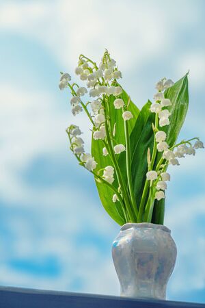 Lily of the valley. Flower Spring Lily of the Valley Background Vertical Close-up. の写真素材