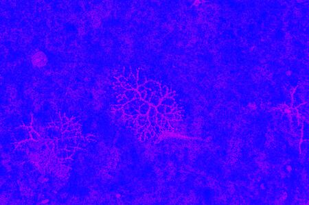 Abstract colored background from stone texture. Close-up for text. Stones for the background.の写真素材