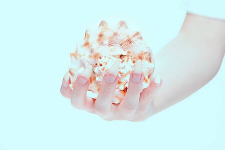 Female hand holds shell. Beautiful fingernails closeup. Ð¡oncept of strong and healthy nails. Healthy and beautiful nails. Calcium for the health of nails. Beautiful fingernails closeup.の写真素材