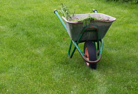 Garden cart on the green lawnの写真素材