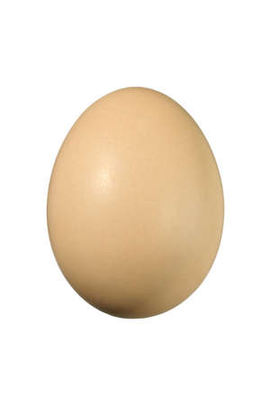 egg isolated on whiteの写真素材