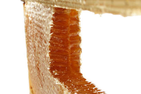 Honeycomb isolated on whiteの写真素材