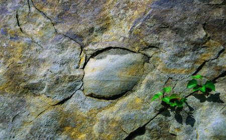 stone rock paintings with paints and wind by the artist of natureの写真素材