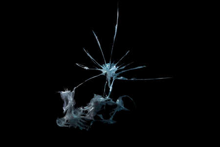 broken glass mirror in the form of cracks and lines on a black isolated backgroundの写真素材