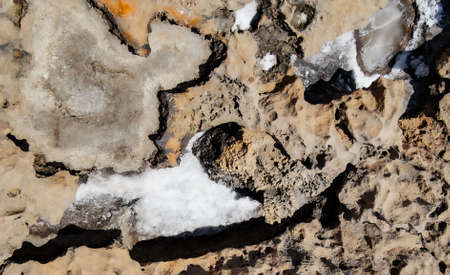the rocky seashore in the form of rocks and depressions, against the background of the rock, as an abstraction, the image and patterns of nature on the stonesの写真素材