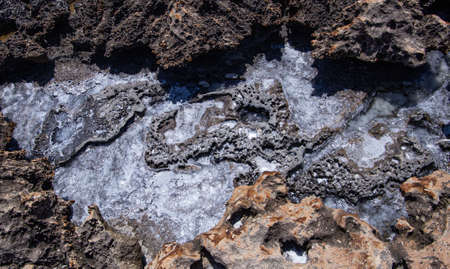 the rocky seashore in the form of rocks and depressions, against the background of the rock, as an abstraction, the image and patterns of nature on the stonesの写真素材