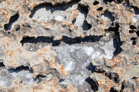 the rocky seashore in the form of rocks and depressions, against the background of the rock, as an abstraction, the image and patterns of nature on the stonesの写真素材
