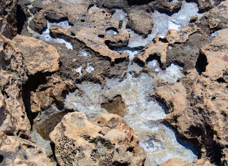 the rocky seashore in the form of rocks and depressions, against the background of the rock, as an abstraction, the image and patterns of nature on the stonesの写真素材