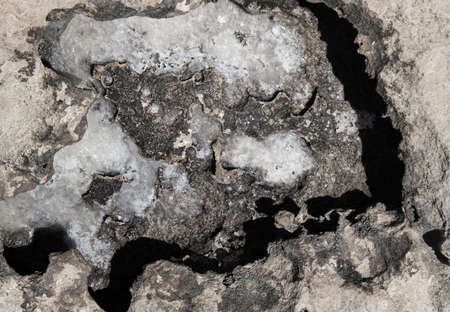 the rocky seashore in the form of rocks and depressions, against the background of the rock, as an abstraction, the image and patterns of nature on the stonesの写真素材